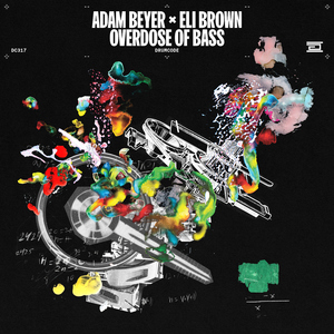 草莓污视频福利免费在线观看
