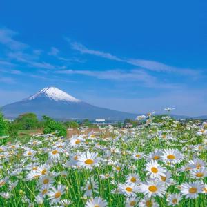 草莓污视频福利免费在线观看
